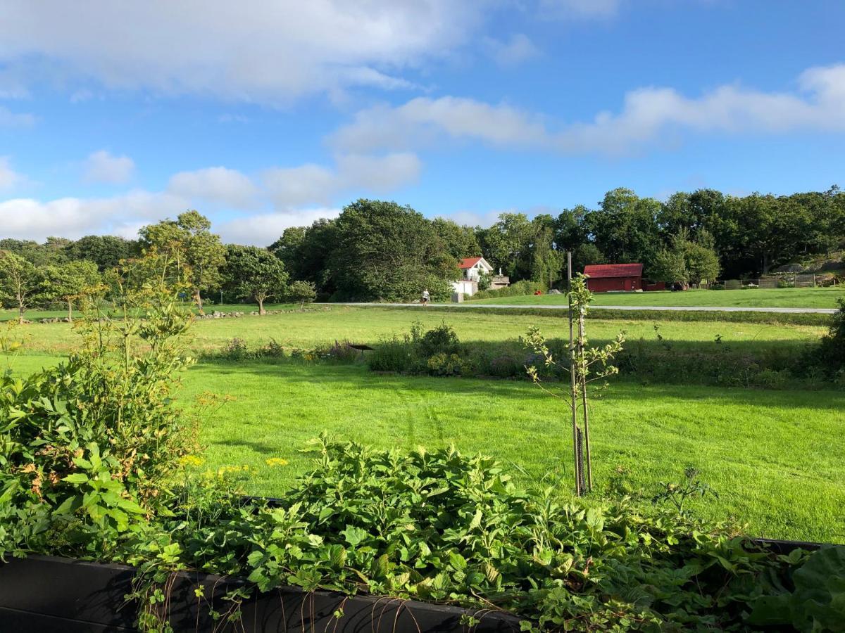 Mysig Nybyggd Stuga Naera Hav Och Natur Klovedal Luaran gambar